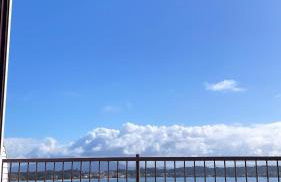 El Paraíso - Foto 10