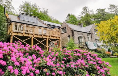 Folly Lodge - Photo 1