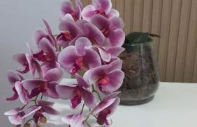 Apartamento Frente Praia Embaré - Varanda Aconchegante - Pet Friendly - Foto 8