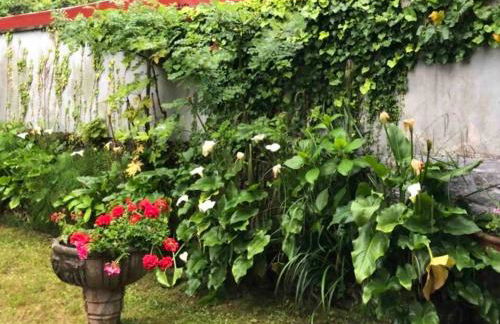 Doma Etxea Donostia-San Sebastian ESS02683 - Foto 17