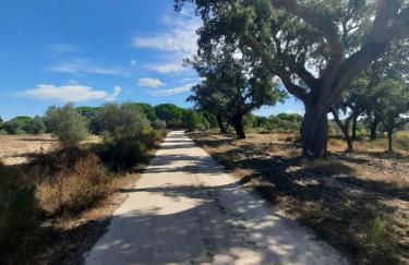 Casa Zé Actor - Foto 32