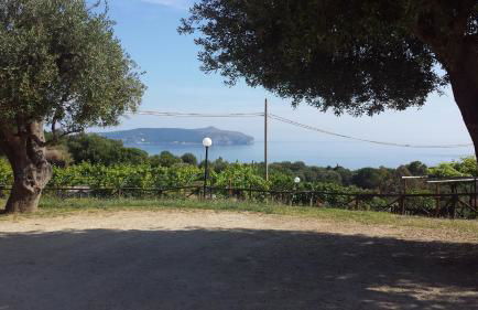 Agriturismo Valle di Marco - Foto 43