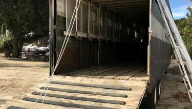 Vintage Tiny House with Spa-Inspired Bathroom in Warner Springs, California - Foto 2