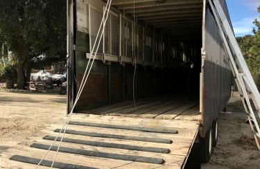 Vintage Tiny House with Spa-Inspired Bathroom in Warner Springs, California - Foto 2