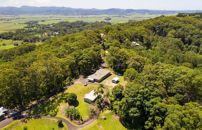 Clothiers Creek Farm - Photo 41