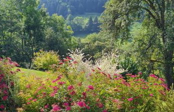 Appartement Borne - Photo 18