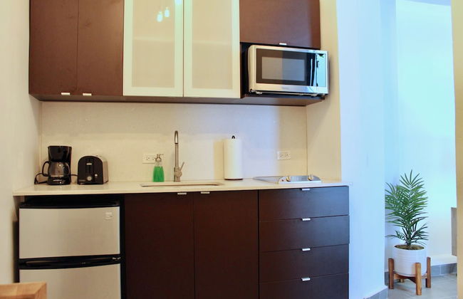 Modern Living in Old San Juan - Photo 22