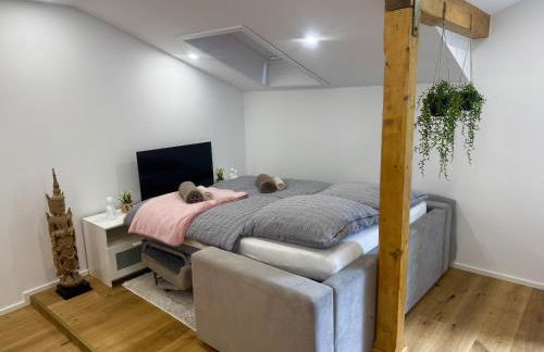 Modernes Apartment mit Balkon zwischen Chiemsee und Kampenwand - Foto 3