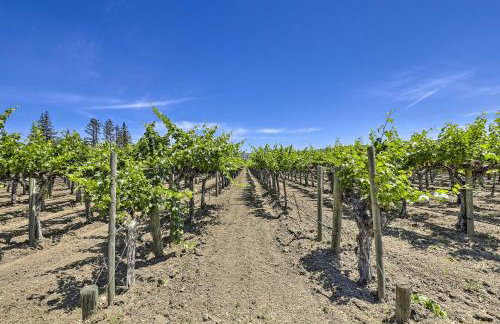 Luxe Wine Country Getaway with Vineyard Views - Foto 37