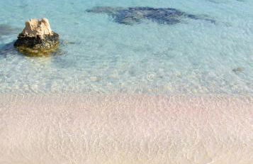 Appartement Cosy Calme Central-Terrasse Proche Palais - Foto 46