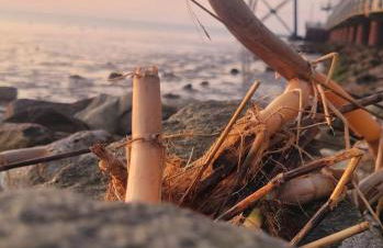 Nordsee direkt Garten Hallenbad und Sauna Strandkorb in der Saison - Foto 31