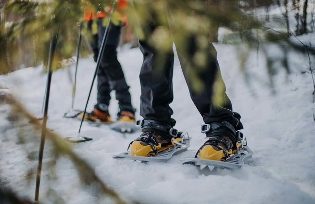 Paseo en raquetas de nieve por Inari - Foto 2