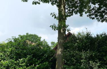 re~barn - Modern Country Stay - Photo 29