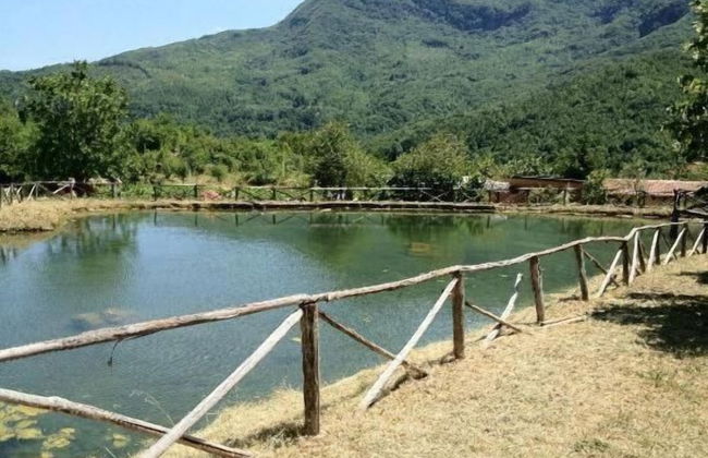 La Mandra - Photo 27