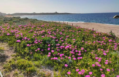 Beautiful Baya Vignola - Foto 3