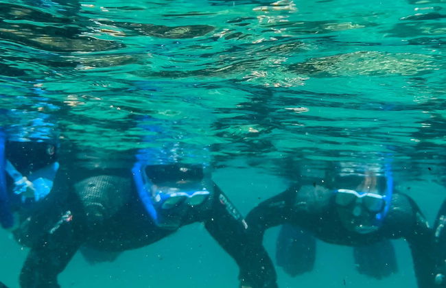 Snorkeling dans le parc naturel du Détroit - Photo 1