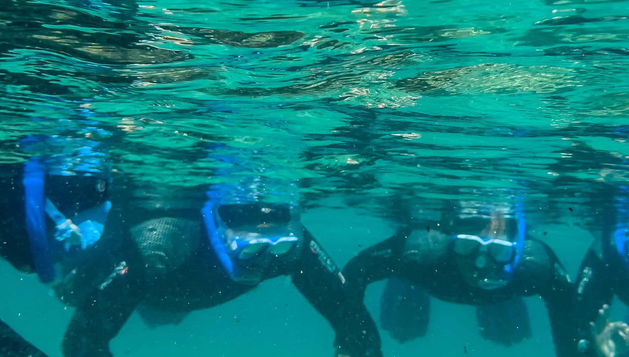 Snorkeling dans le parc naturel du Détroit