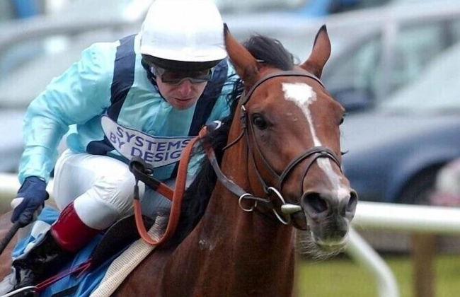 Pheasant Lodge Scottish Borders - Foto 28