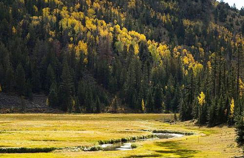 Thousand Lake Lodge at Capitol Reef - Foto 13