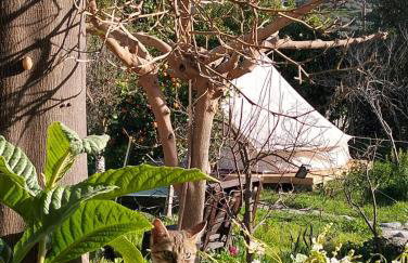 La Maison Bleue Sand Dunes - Foto 18