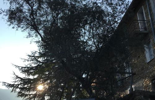 Rural house - Photo 7