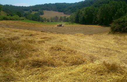 Borgodoro - Natural Retreat - Foto 35