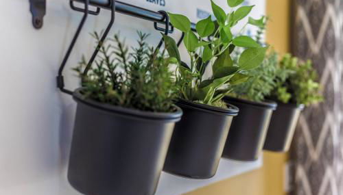 Flint House - Bracklesham Bay - Foto 4