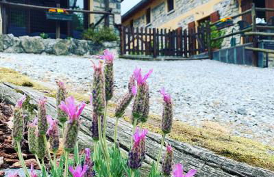 Agriturismo Il Talento Nella Quiete - Foto 77