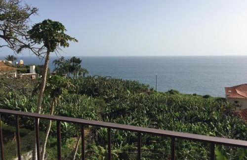 Mango House - Foto 43