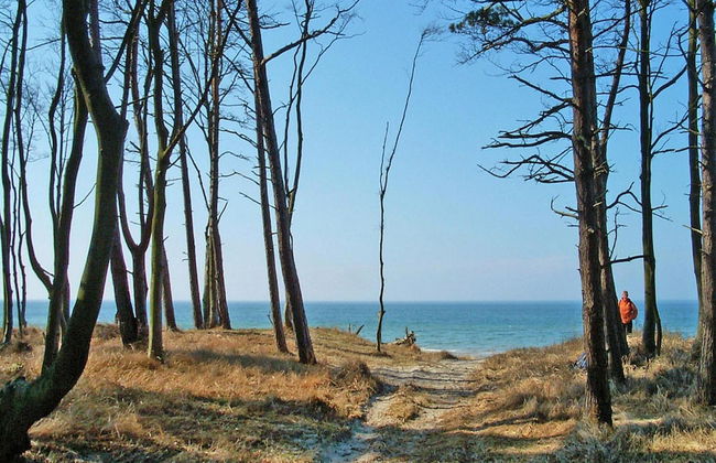 Ferienwohnung am Bodstedter Bodden - Foto 16