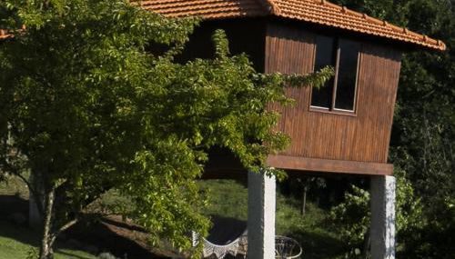 Cimo da Vinha - Nature Spot - Foto 3, Garden, Garden view