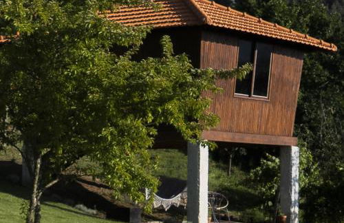 Cimo da Vinha - Nature Spot - Foto 3