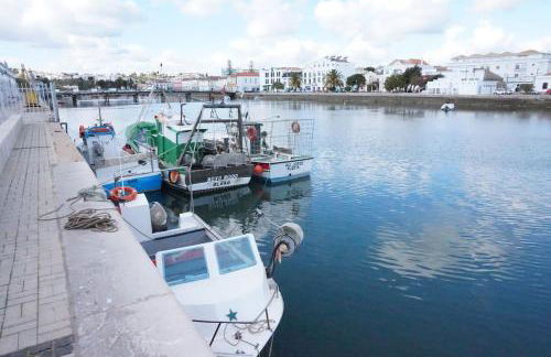 Ninho Azul - Foto 18