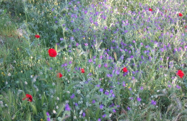 1-bed House Sleeps 4 - Free Parking, Patio, Wifi - Photo 27