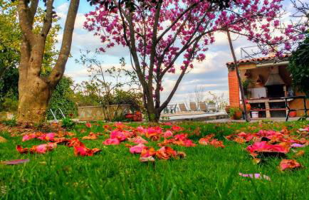 Casas da Fraga - Serra da Estrela - Foto 70