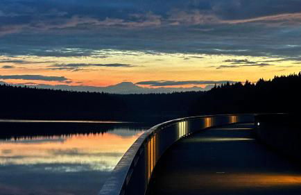 Haeuslein-Waldesruh - Foto 14