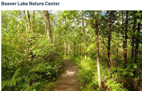 Syracuse Vacation Rental free Parking,near SU,town - Foto 26