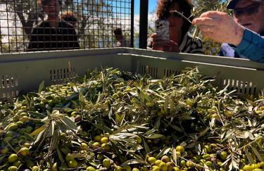 Casale Santa Rosalia Charme Villas and Rooms - Foto 80