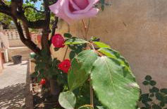 Rifugio al mare - Foto 30