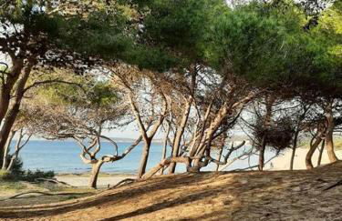 Le Giraffe ( n.CIS LE07503191000035725) - Foto 42