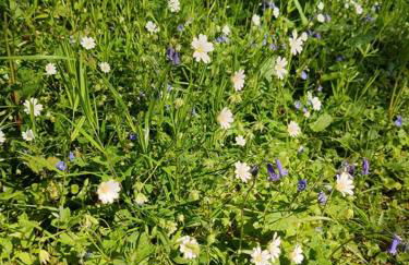 Cap sur le Guillec - Foto 20