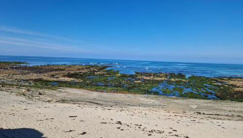 maison plain pied - Foto 5