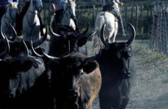 L'ANCRE MARINE - Appartement 2 chambres avec parking proche de la plage - Photo 6