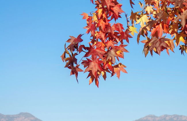 Bright on the River Mystic Apartment 2 - Foto 17