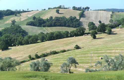 agriturismo montefiorentino - Foto 7