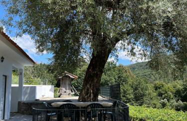 Quinta da Vinha Velha - Foto 38