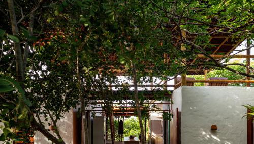 Casa Perobinha - Foto 5, Garden view