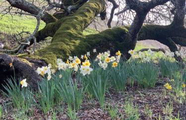 Historic Van Keppel Ranch - Foto 56