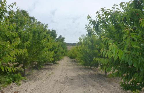 CASERIO INAZARES - CASAS DE MONTAÑA CON CHIMENEA Y NIEVe - Foto 77