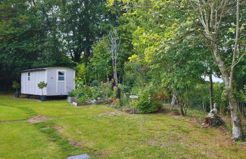 The Pheasant - Foto 22